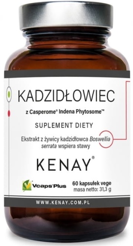 Kadzidłowiec Casperome® Indena Phytosome - układ kostno-stawowy - 60 kaps / Kenay 