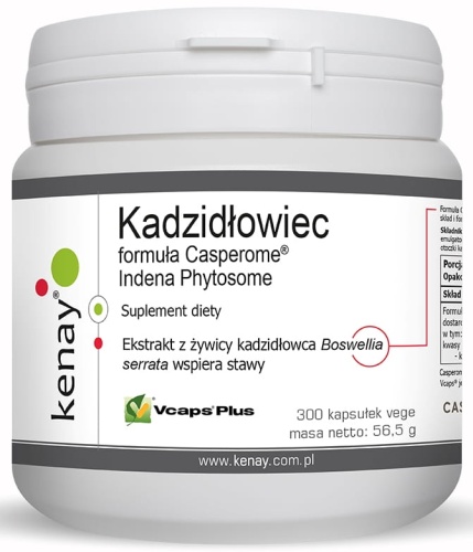 Kadzidłowiec Casperome® Indena Phytosome - układ kostno-stawowy - 300 kaps / Kenay 