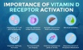 vitamin-D-receptor.jpg