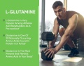 glutamina5.jpg