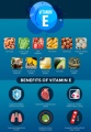 Vitamin-E2.jpg