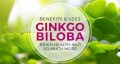 ginkgo-biloba6.jpg