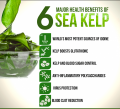 KELP.png