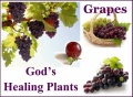 MEGANATURAL®-BP OPC 60 kaps. / POLYPHENOLICS