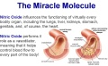 The_miracle_moleule.jpg
