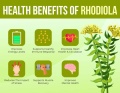 Rhodiola-Benefits.jpg