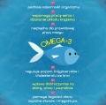 omega 3 działanie.jpg