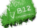 valensa-chlorella-good-source-of-b12.jpg