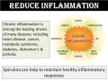 SPIRULINA-3.jpg
