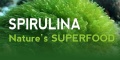 SPIRULINA 2.jpg