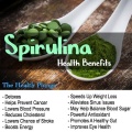 SPIRULINA 1.jpg