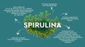 spirulina superfood.jpg