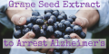 GRAPE-SEEDS.png