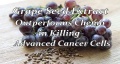 GRAPE SEED.jpg