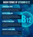 B12.jpg